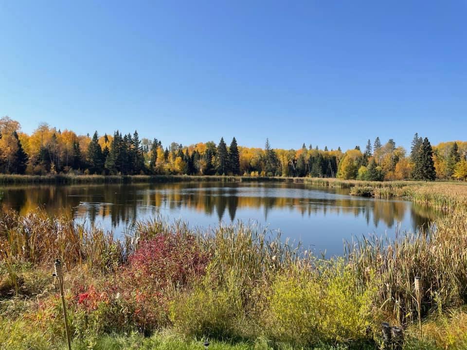 Christopher Lake fall